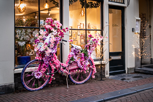 Amsterdam cycle 7