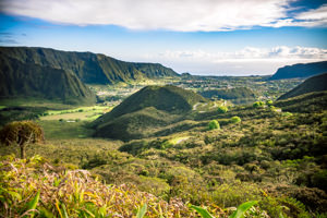 Plaine des Palmistes Ile de la Reunion